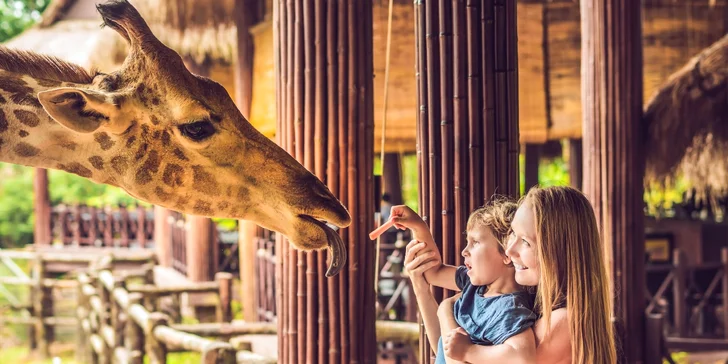 V zoo je ale k vidění mnohem více zvířátek, máte se nač těšit.