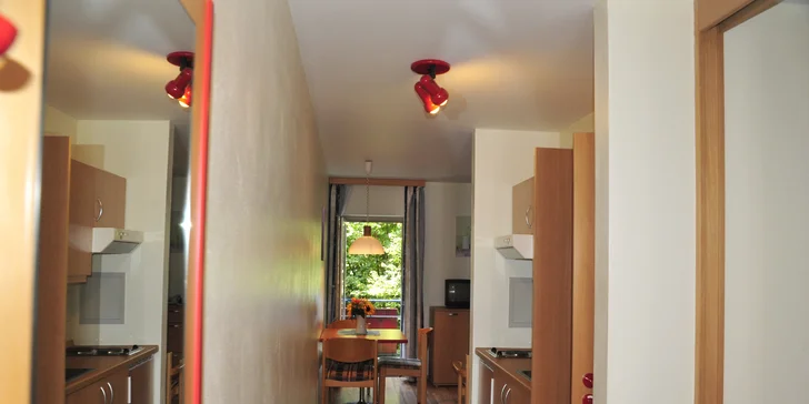 V apartmánu je obývací pokoj s pohovkou, kuchyňský kout, ložnice a koupelna. 