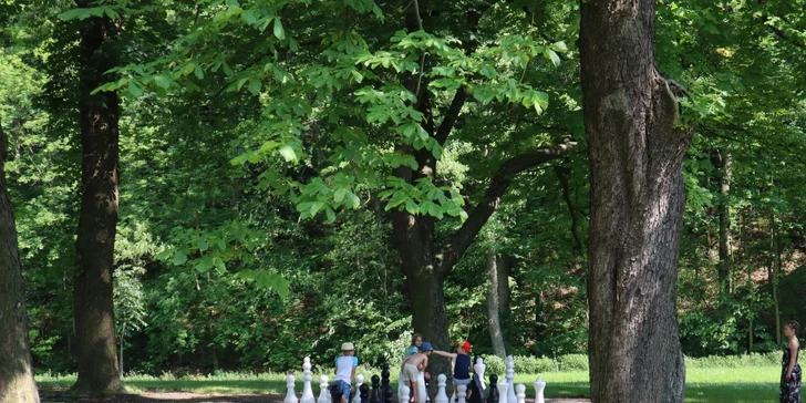 Za příplatek je možné si zahrát minigolf, volně jsou k dispozici venkovní šachy. 