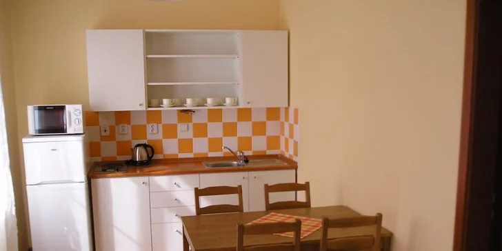 V některých apartmánech je i kuchyňka. 