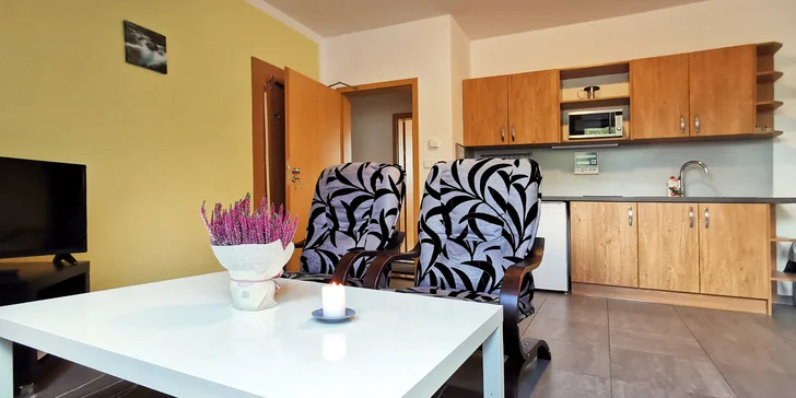 Každý apartmán má vybavenou kuchyňku. 