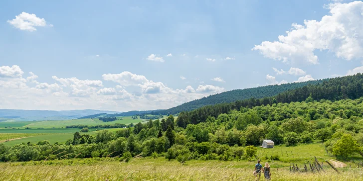 V objavovaní miestnych pamiatok môžete pokračovať v historickom centre Levoče, návštevou ZOO alebo si zvoliť turistiku k vodopádom a jaskyniam. 