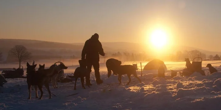 Naskočte na saně a pobídněte psy. 
