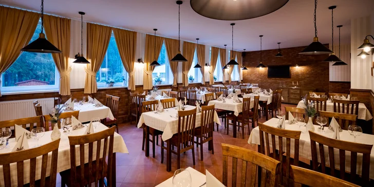 Úspěšný den odstartujete každé ráno bohatou snídaní ve formě bufetu nebo výběrem z menu a zakončíte ho výbornou večeří.