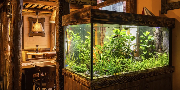 Pochutnáte si na smažených křídlech, miniburgerech a hovězím tataráčku. (Na fotce restaurace Laguna.)