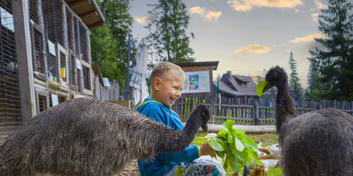 V kontaktnej farmičke čakajú na pohladkanie prítulné zvieratká.