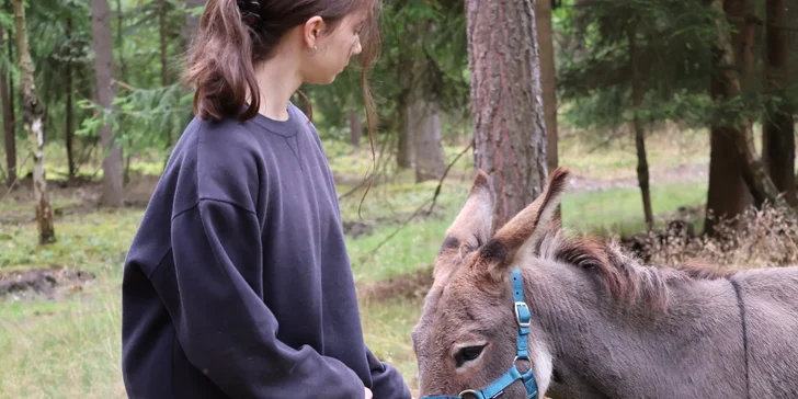 Oslíky si můžete samozřejmě také pohladit a pomazlit se s nimi.