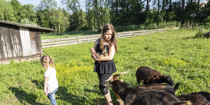 Chovají tu holandské kozičky, prasátka, ovečky, husy a zdrobnělé slepičky, ale také sovy pálené a další zvířátka.
