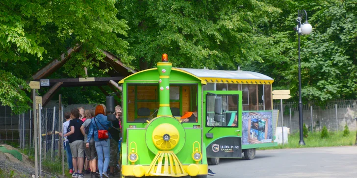 Když bude hezky, využijte jízdu turistickým vláčkem nebo vstup do Dinoparku v parku Rosenau (300 m od hotelu). 