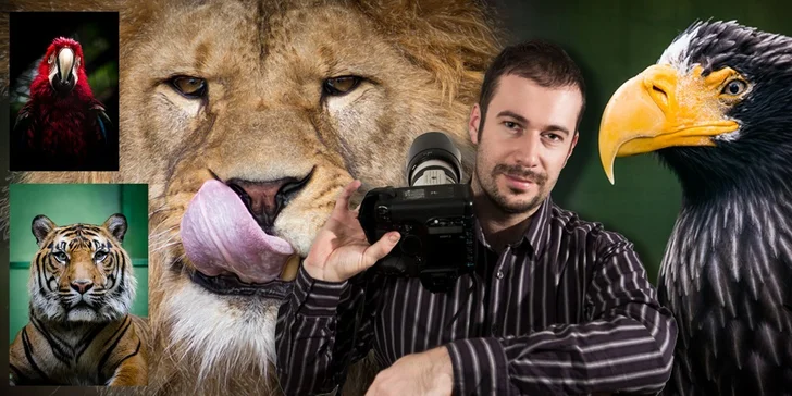 Fotografujte zvířata (nejen v zoo) jako profesionálové