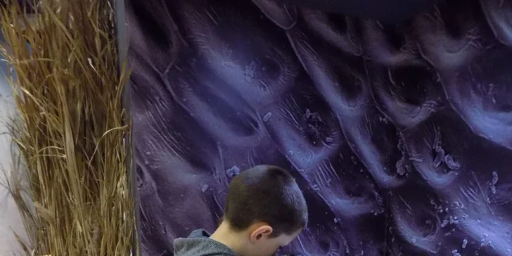 Expozice má několik částí.