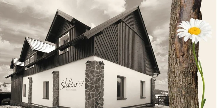 V Penzionu Štikov, kde se wellness nachází, se můžete domluvit i na masáže.