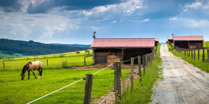 Ranč má rozlohou 300 000 m² a je vsazený do malebné krajiny.