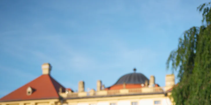 Čeká vás pohodové profesionální focení spojené s romantickým piknikem. 