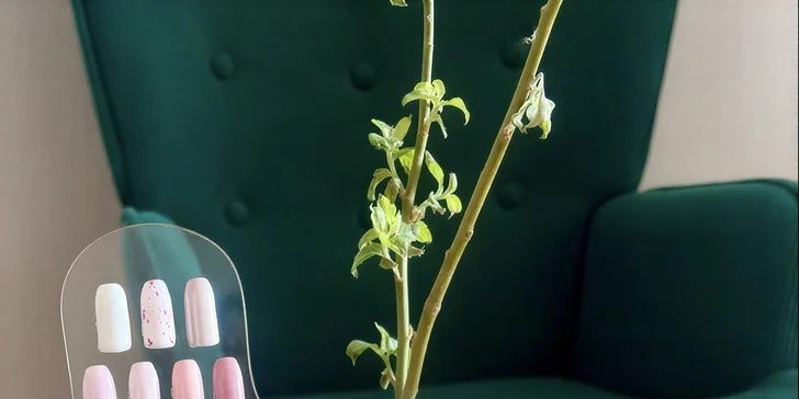 Dopřejte si navíc i relaxační masáž a koupel nebo gelový lak a revitalizační peeling. 