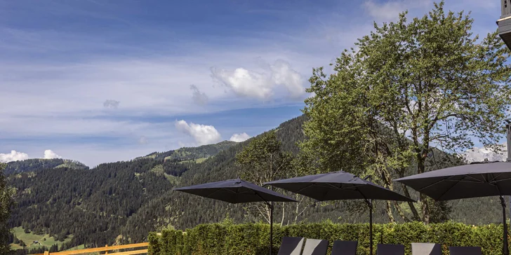 Bazén disponuje panoramatickým výhľadom na údolie Lammertal a masív Dachsteinu.