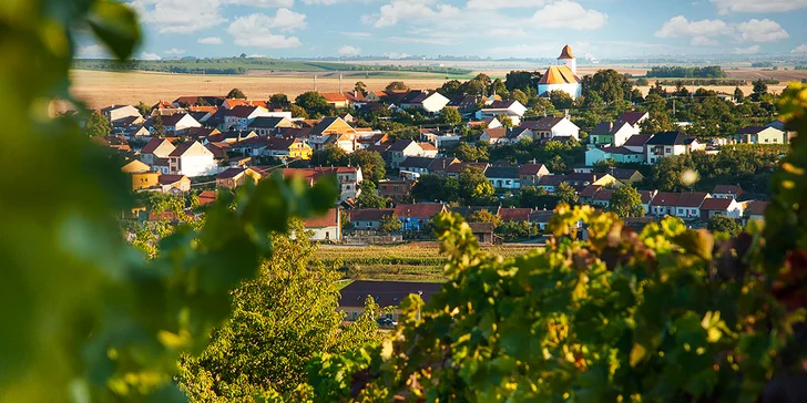 V republice Kraví Hora, v Bořeticích, se o víkendu 10.–11. srpna koná festival Otevřené sklepy Modrých Hor. 