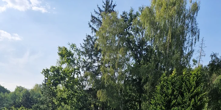 Jistě vás také potěší venkovní bazén, kde se můžete osvěžovat neomezeně, a hřiště na plážový volejbal. 