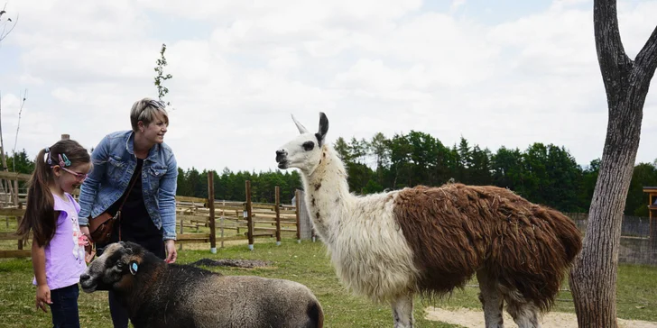 Do zoo se vypravila i mama blogerka BeBirdie s rodinou. Po 5 hodinách odjížděli všichni nadšení. 