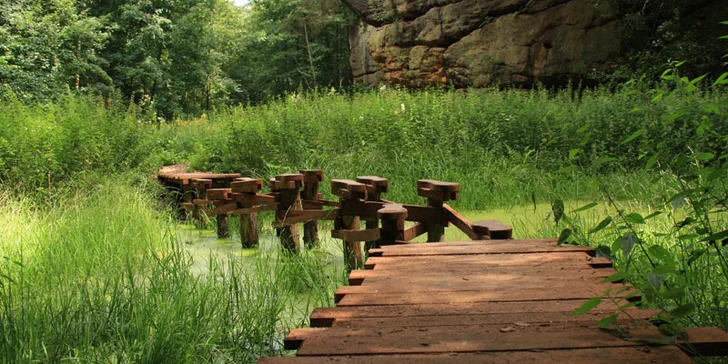 V Geoparku se projedete přes bažinu.