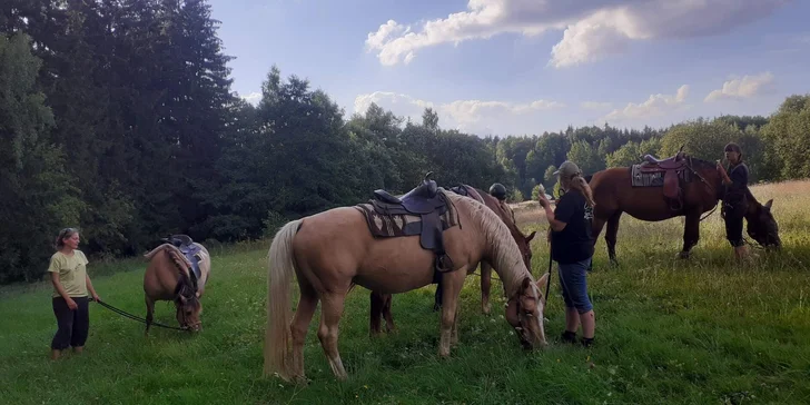 Pro ty, kteří se chtějí v sedle zlepšit, tu nabízí výcvik v kruhové ohradě nebo na travnaté jízdárně.