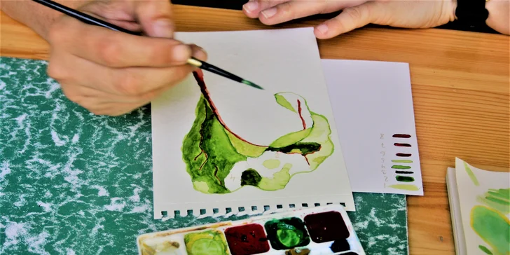 Můžete tak poznat celé vegetační období léčivých rostlin a pozorovat jejich proměny. 