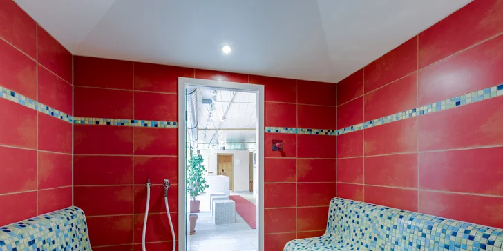 Čaká tu na vás klasická fínska sauna, šetrnejšia bio sauna a parný kúpeľ, alebo si môžete dopriať prehriatie v infračervenej kabíne.
