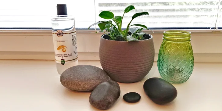 K masážím tu používají přírodní oleje české rodinné firmy Topvet Green Idea.