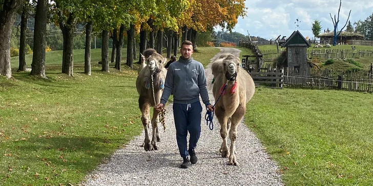Po návratu vás čeká krmení a seznámení s dalšími zvířaty ve výběhu i s jejich mláďaty.