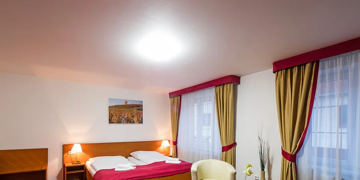 Superior nabízí navíc župan, pantofle a trezor i minibar. 