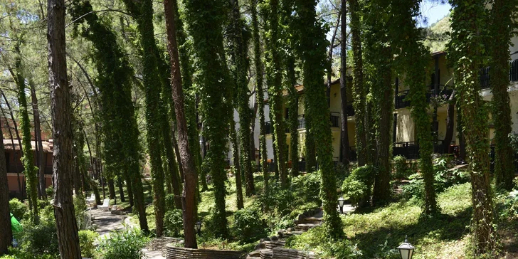 V ceně máte letenku i transfer z letiště k hotelu a zpět. 