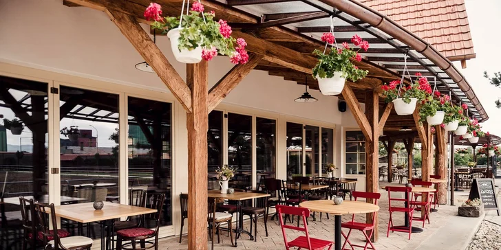 Privíta vás elegantné a exkluzívne zariadené prostredie, krásny areál s možnosťou posedenia na vonkajšej terase a reštaurácia s prvotriednou gastronómiou