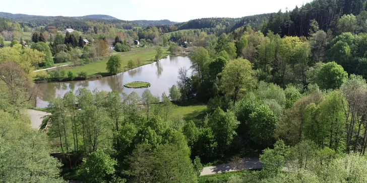 Rybí obsádku tvoří především kapr a amur (o váze 2,5–4,5 kg), doplňkově úhoř, jeseter, lín a bílá ryba. 