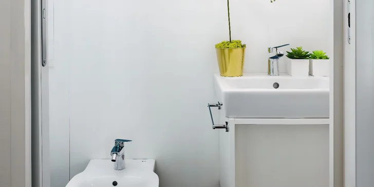 V koupelně je sprcha, toaleta, bidet i fén. 