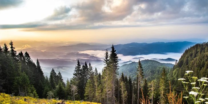 Čeká vás nejen dechberoucí panorama Kamnicko-Savinjských Alp, ale také skvělé zázemí pro dovolenou ve dvou i s rodinou. 