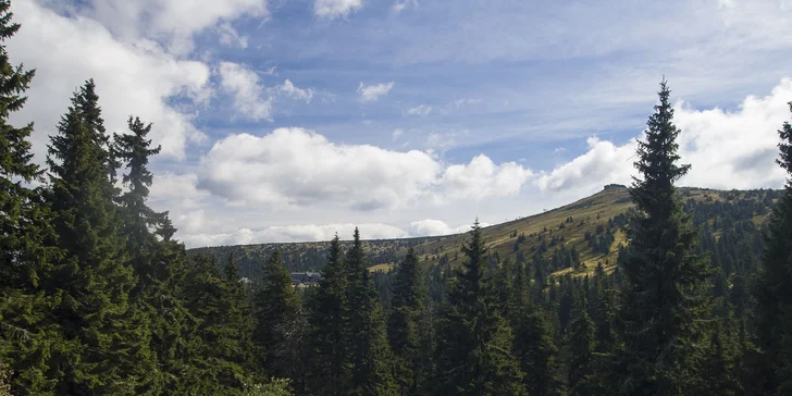 Vydejte se do lesů po známé Zlatohorské hornické stezce – naučná trasa má 16 km. 