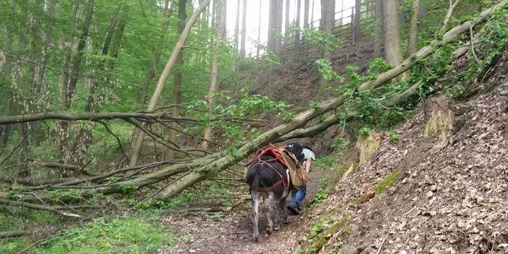 Po cestě nás čeká zdolávání různých překážek