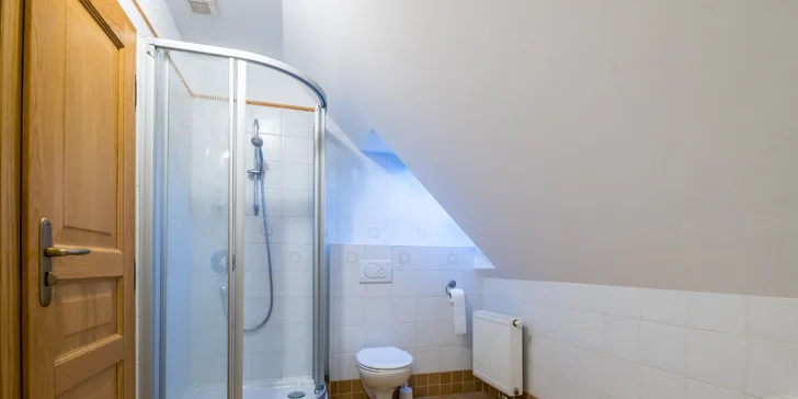 Apartmánu s vířivou vanou nechybí ani sprcha.