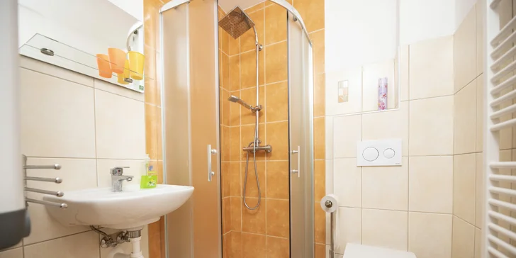 K apartmánu náleží také vlastní koupelna.