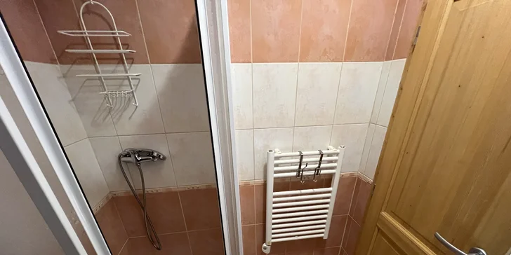 Samozřejmostí je koupelna se sprchou a WC.