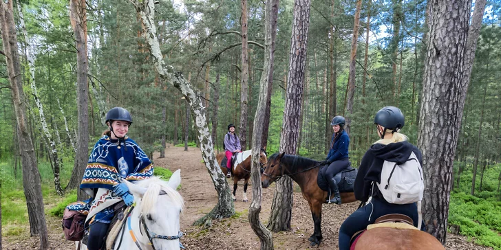 Jako hrdý člen České jezdecké federace tu garantují vysokou úroveň péče o koně i služby na špičkové úrovni. 