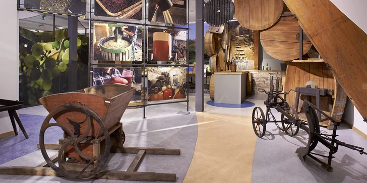 Vstupy do expozice českého vinařství na hradě v Litoměřicích pro 2 osoby a sklenička pro každého