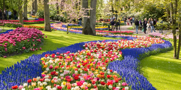 Keukenhof je největší květinový park v Evropě s překrásnou zahradou. Má rozlohu 32 ha a nabízí 15 km chodníků kolem květinových záhonů i řady klidných míst s výhledem na fontány. 