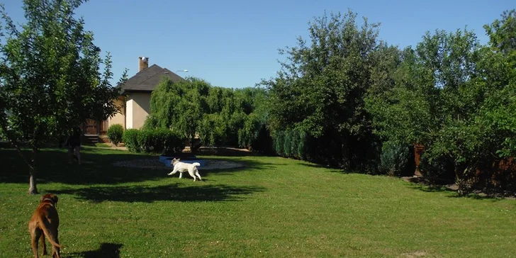 Velký výběh