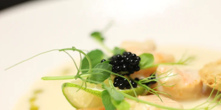 Spojení jemných chutí předkrmu a dobrého vína bude perfektním úvodem do gastronomického ráje.