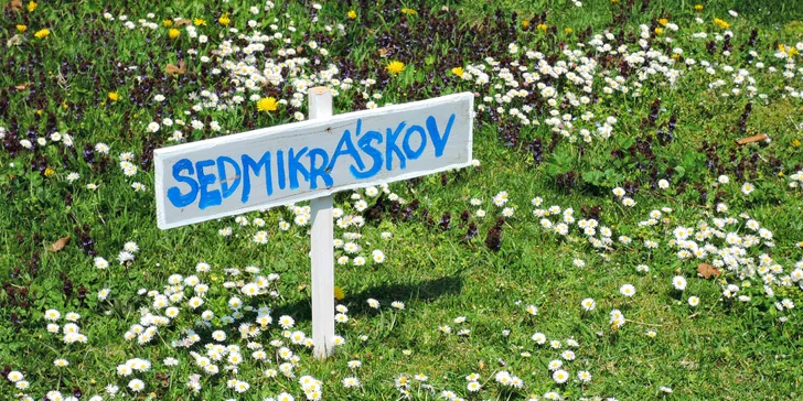 Prohlédnete si tu tak nejrůznější pohádkové exponáty, stroje, nástroje a nářadí patřící k českému tradičnímu hospodářství a rukodělné výrobě. 