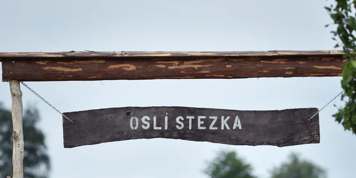 Nejlepší způsob relaxace: v přírodě ve společnosti zvířat.