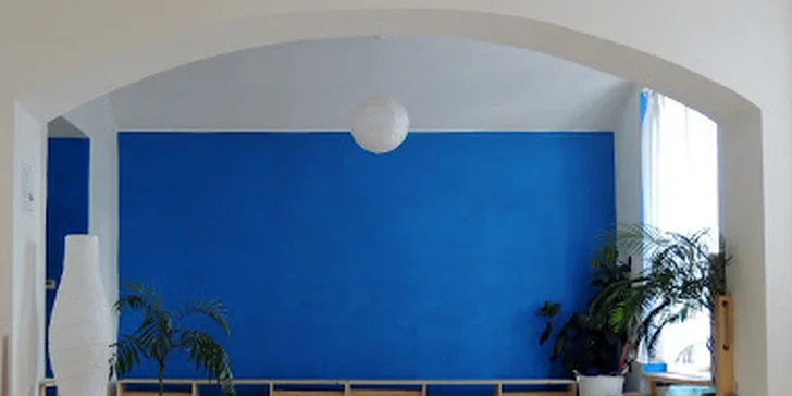 Čeká vás celkem 15 lekcí a průřez jógovými styly.