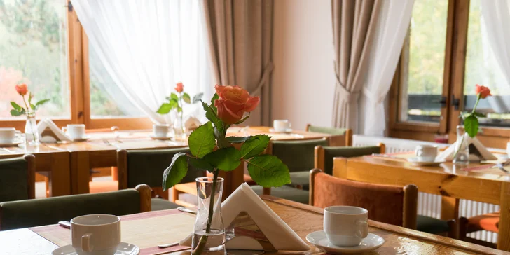 Hotel poskytuje snídaně v ceně. Ale zajít si sem můžete i na obědy a večeře formou výběru z menu. 