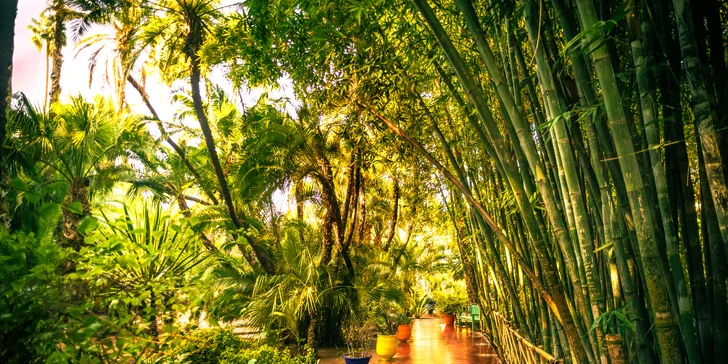 Majorelle Gardens